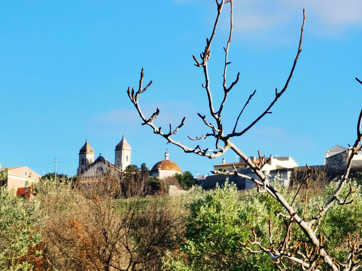 La Corte Degli Ulivi - Albergo Rurale Tresnuraghes Екстериор снимка