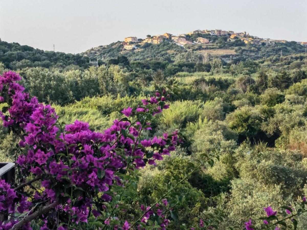 La Corte Degli Ulivi - Albergo Rurale Tresnuraghes Екстериор снимка